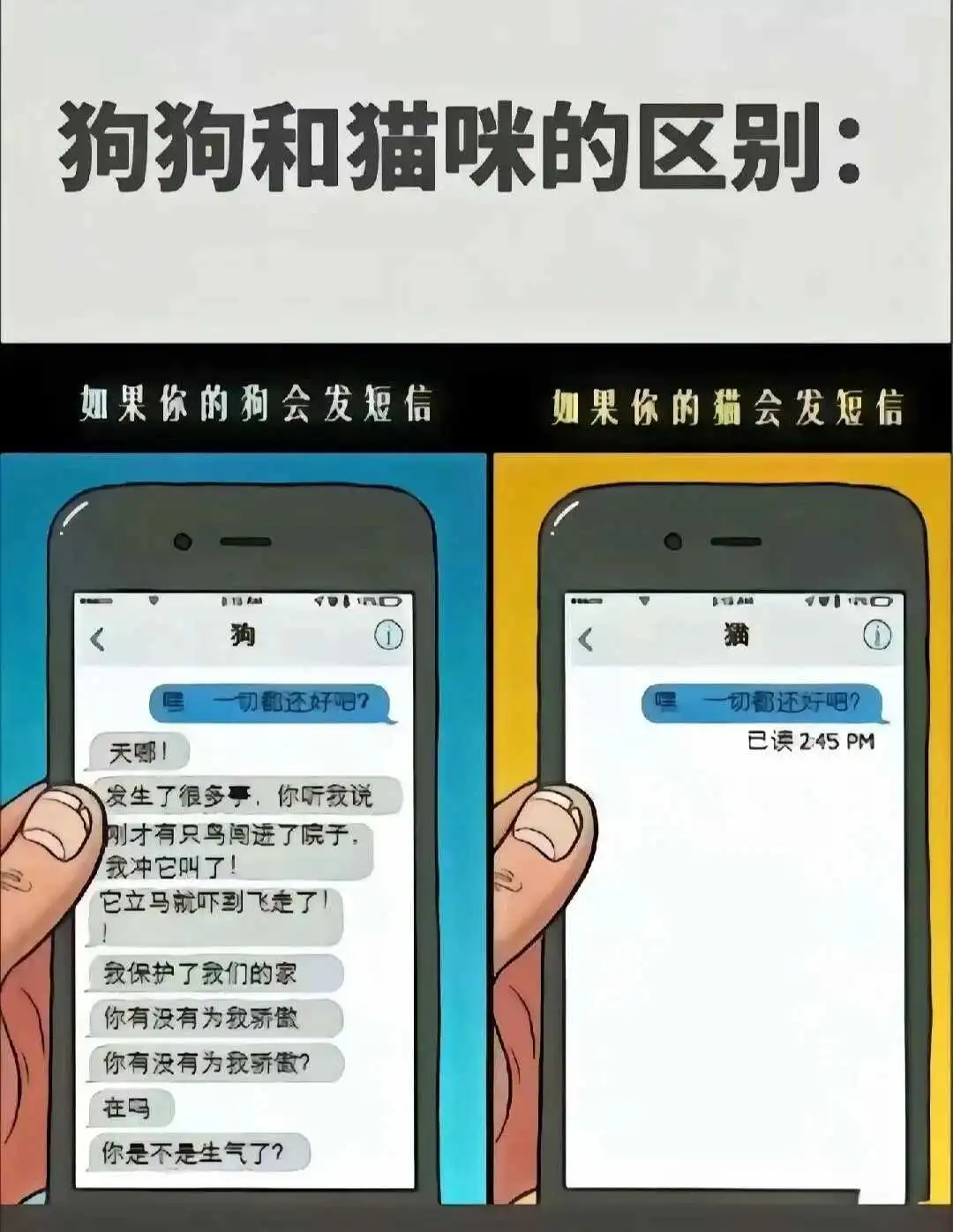 【西檬之家】字母圈小圈入门：新手如何正确理解BDSM亚文化