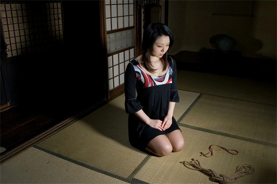 西檬之家-BDSM入圈指南：从新人到老手的字母圈知识必修课
