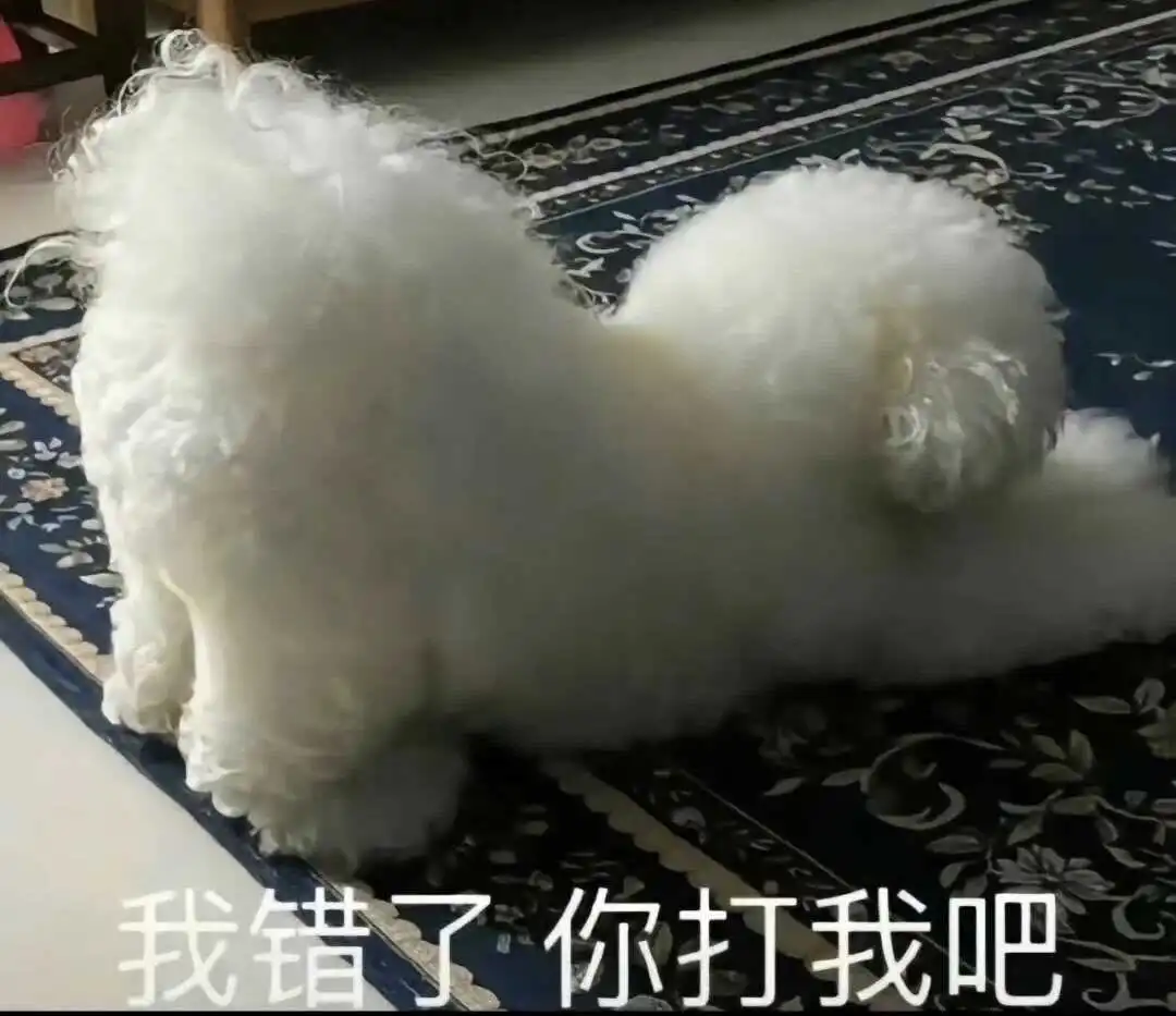 西檬之家-PE是什么？BDSM关系中的权力交换与信任构建