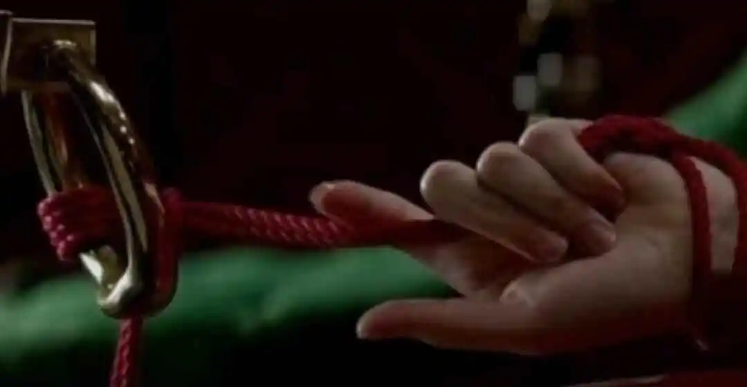 【西檬之家】BDSM圈内术语解析：新人必须懂的SSC与安全词