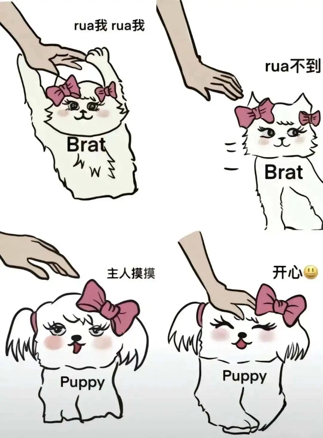 [西檬之家]-字母圈新人入门指南