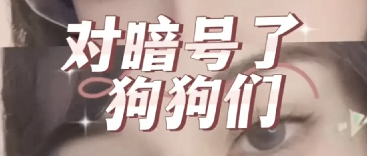 西檬之家-Brat属性是什么？字母圈新人入圈指南