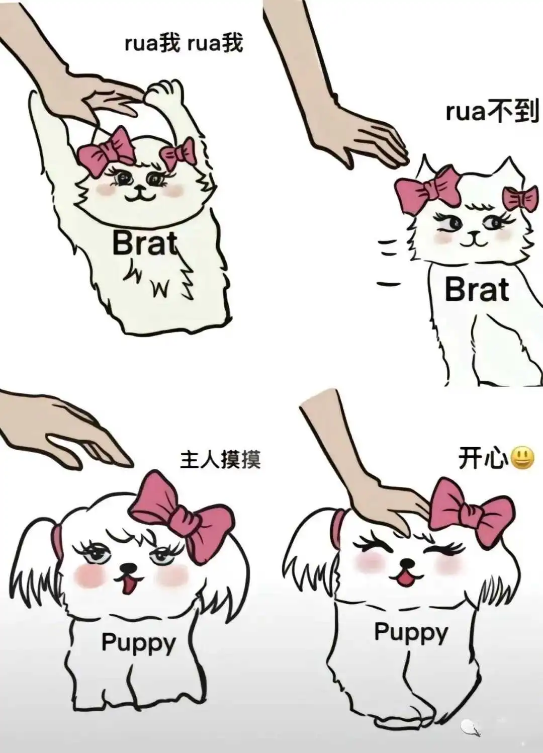 西檬之家-Brat属性是什么？字母圈新人必读指南