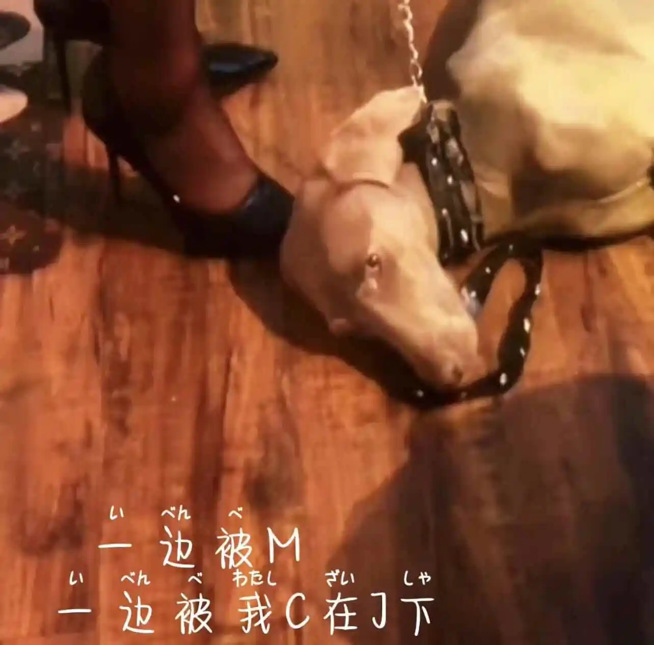 西檬之家-BDSM字母圈TK实践指南