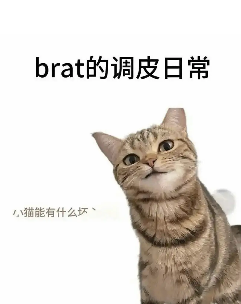 西檬之家-字母圈Aftercare实践指南