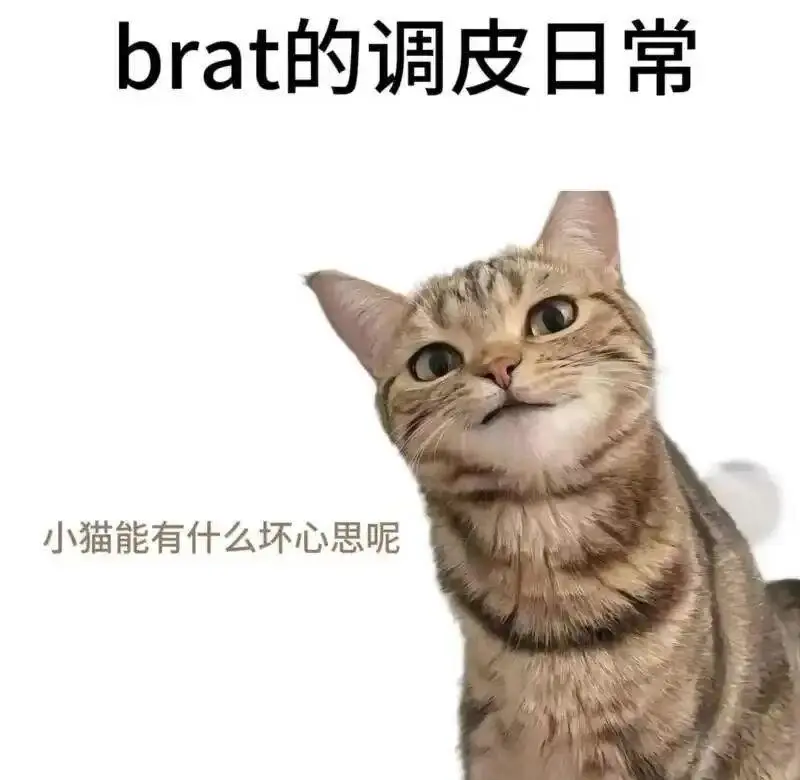 欢迎来到西檬之家：理解BDSM基本概念