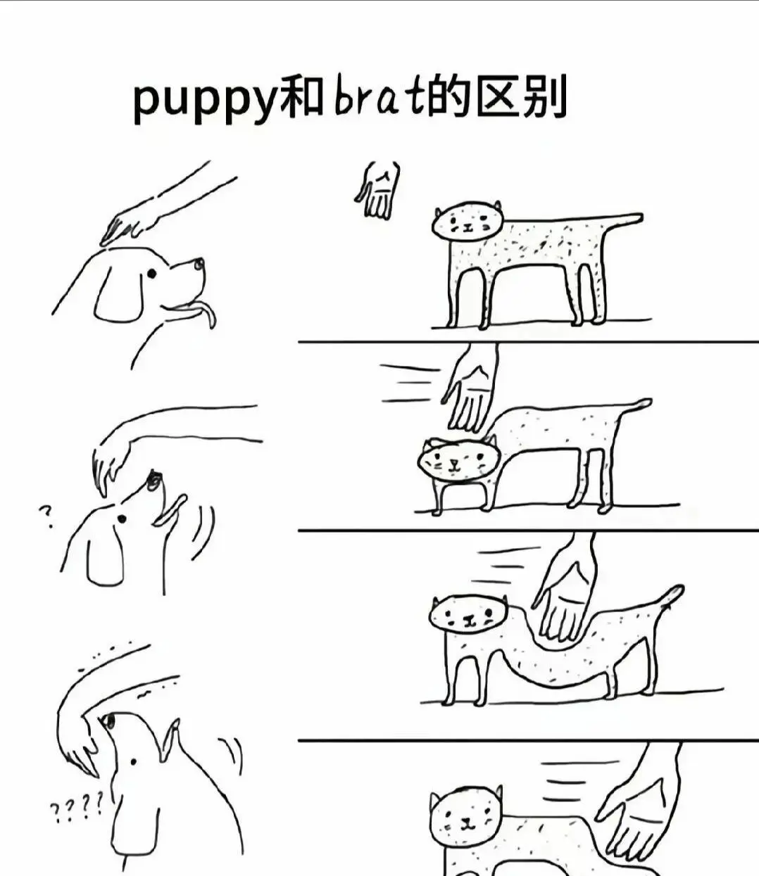 【西檬之家】- DT是什么意思？初入字母圈需了解的BDSM核心术语